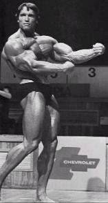 arnold schwarzenegger routine arnold schwarzenegger routine