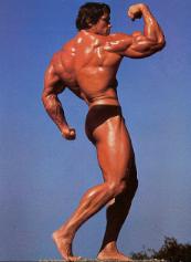 Schwarzenegger Schwarzenegger